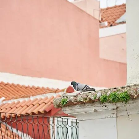 Spacious Duplex With Terrace * Lisboa
